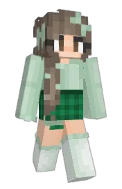 Skin preview