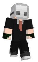 Minecraft skin — Classic model