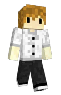 arc69's Minecraft skin