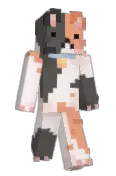 Squeci