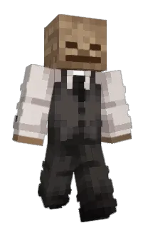 Front of Phytik's skin
