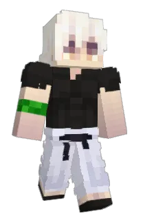 Front of KillerEnder23's skin