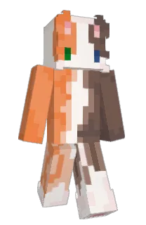 Front of PlayerCS4415's skin
