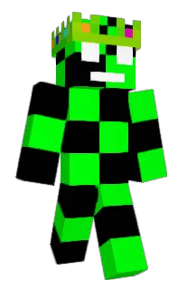 Front of dvvp's skin