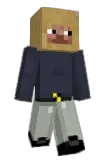 8085 Minecraft avatar full body
