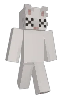Front of rookidae's skin
