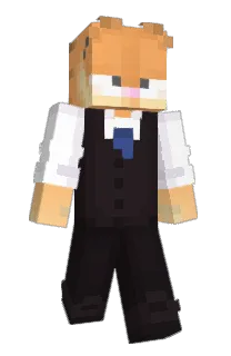 Front of AngyCat's skin