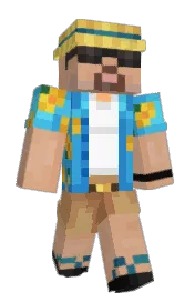 Skin preview