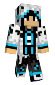 Skin preview