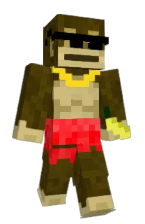 Front of Minecraft skin