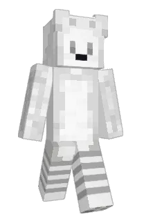 Front of iNylo's skin