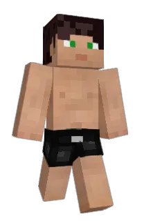 Front of BURTIE's skin