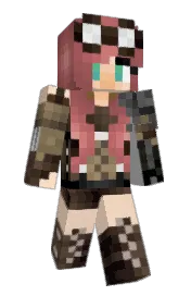 Skin preview
