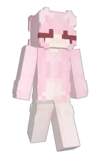 Front of aurvra's skin