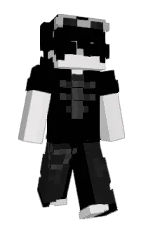Front of svtw1720's skin
