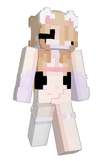Front of pwrot's skin