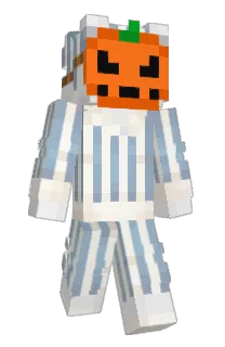 Front of IamB3ar's skin