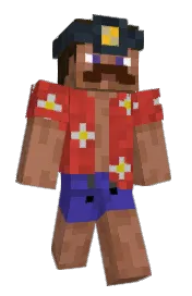 Skin preview