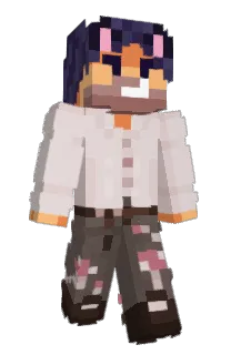 ZminkZmonk's Minecraft skin
