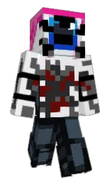 Minecraft skin — Classic model