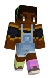 Skin preview