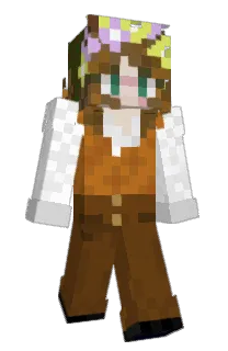 Front of Bee_255's skin