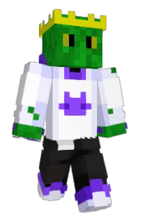 Front of Sajdeczek's skin