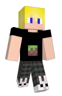 Front of Minecraft skin