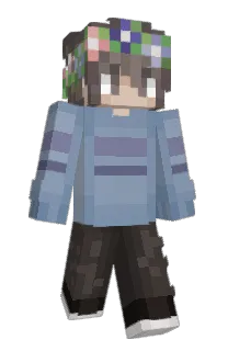 Front of it3a's skin