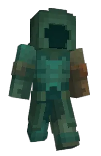 Front of Sact's skin