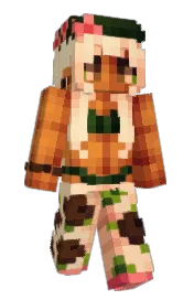 Skin preview