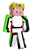 Jeromeythepug