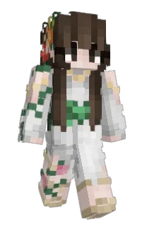 Front of leequtsu's skin
