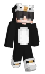 Minecraft skin — Classic model
