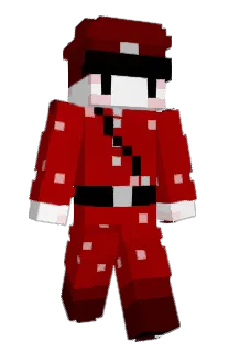 Front of Player_Q's skin