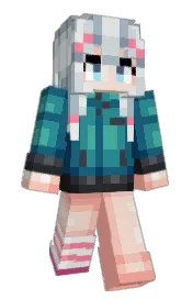 Skin preview
