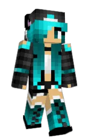 Skin preview
