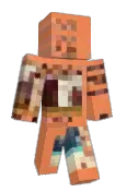 Ams_y