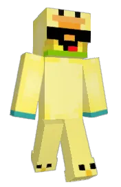 Skin preview