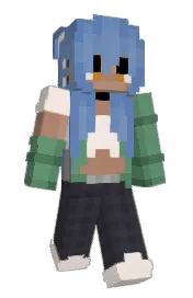 Skin preview