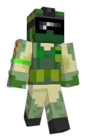 Skin preview
