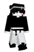 snzr_