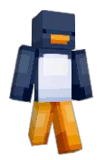 zarkaii