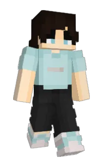 Front of TropicalT's skin