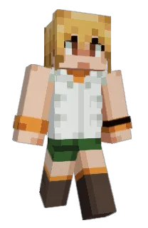 Front of liquiddiflin's skin