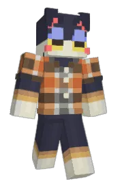 Skin preview