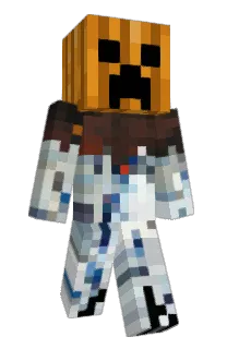 Wolfi2302's Minecraft skin