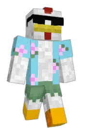 Skin preview