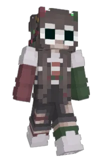 Front of capybaka's skin
