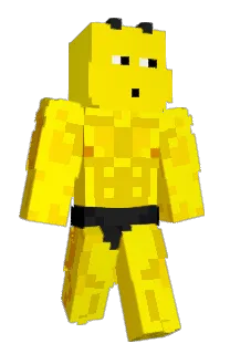 Front of ParkSae_Roin's skin